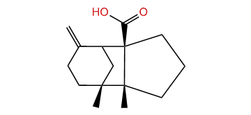 (+)-Gymnomitr-3(15)-en-12-oic acid